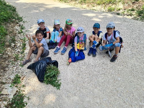 Die Gruppe