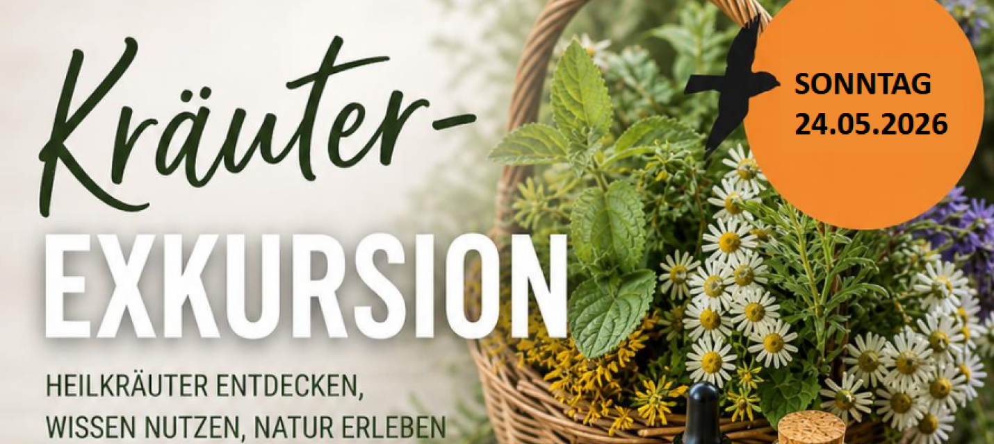 Kräuter