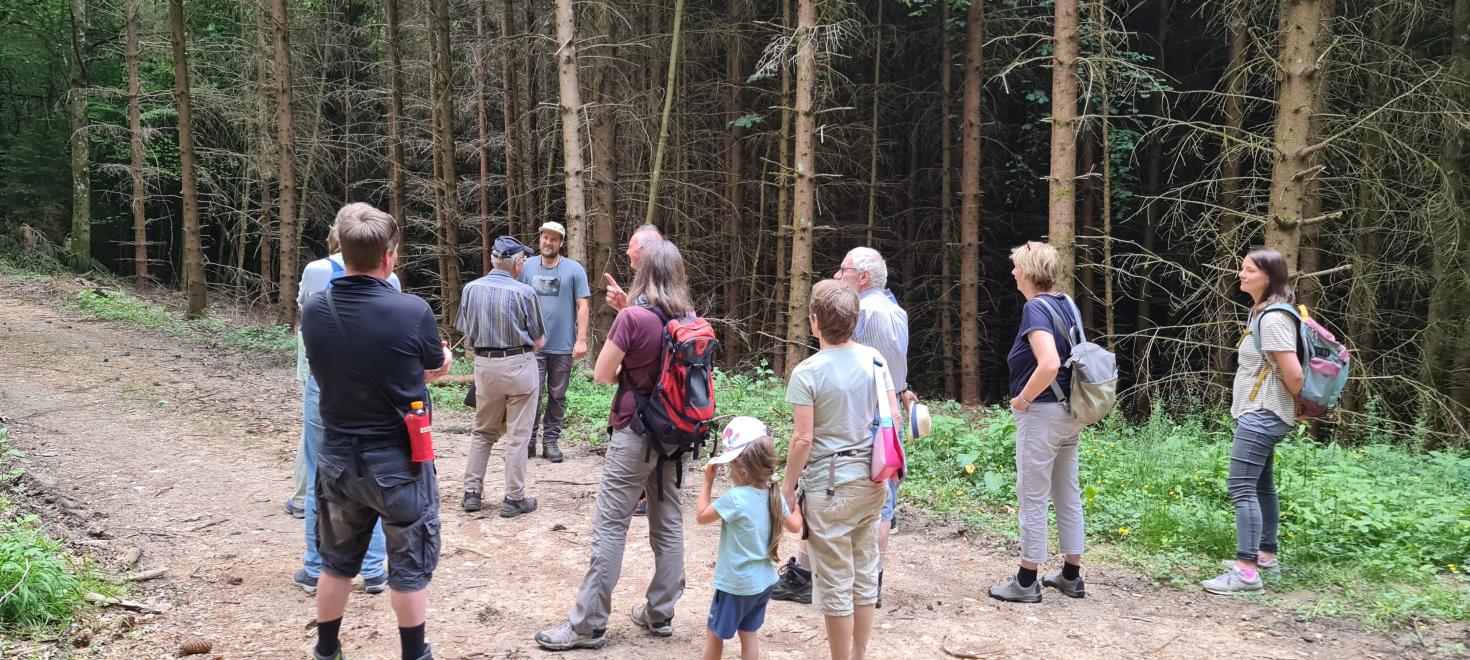 Wald