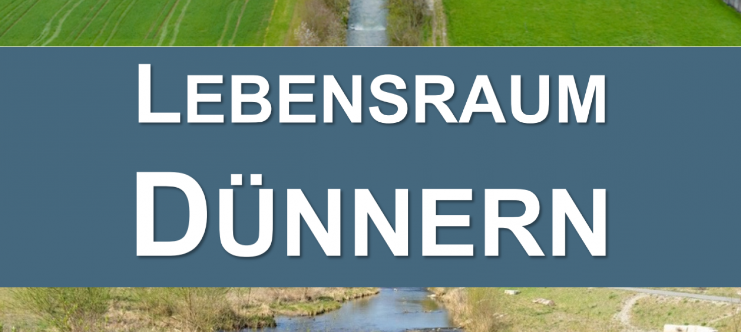 Dünnern