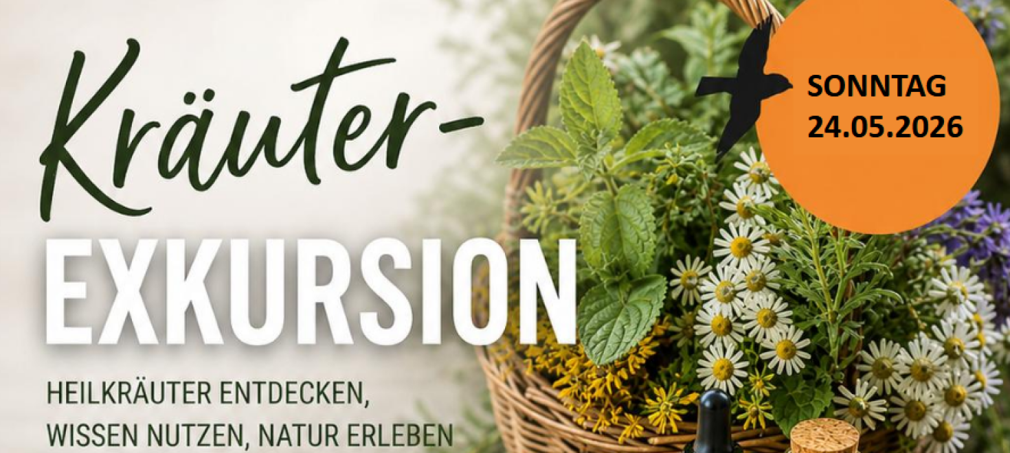 Kräuter