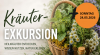 Kräuter